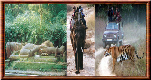 Parc national de Bandhavgarh