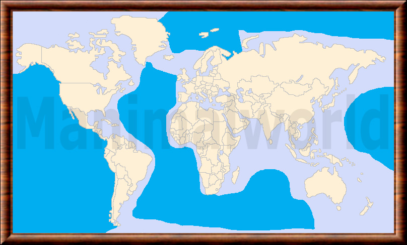 Physeter macrocephalus 01