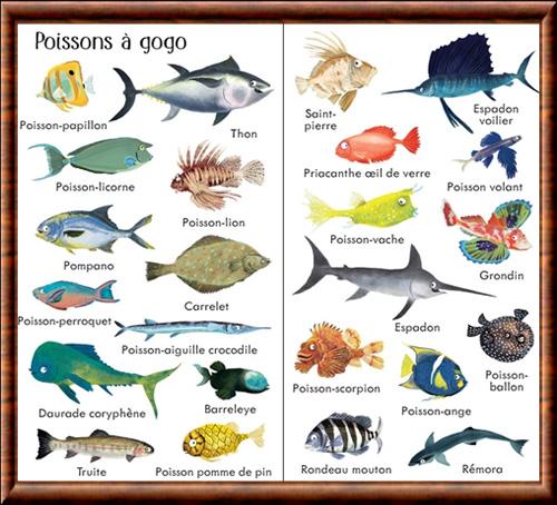 Poisson du monde