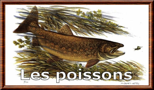 Poissons