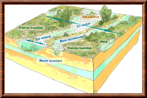 Prairie alluviale