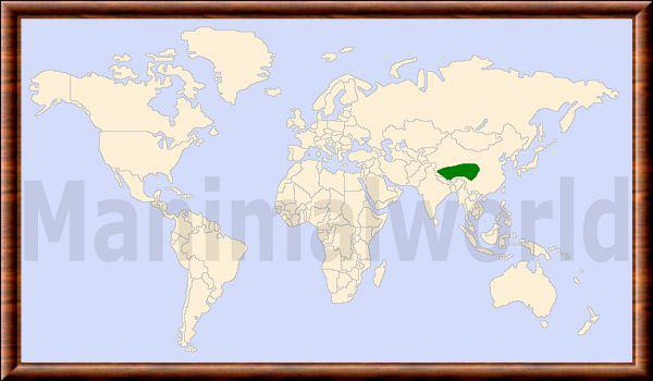 Procapra picticaudata repartition