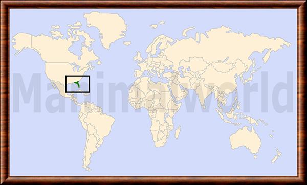 Procyon lotor elucus distribution