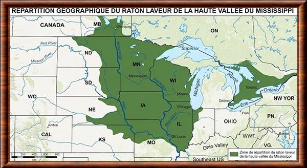 Procyon lotor hirtus distribution