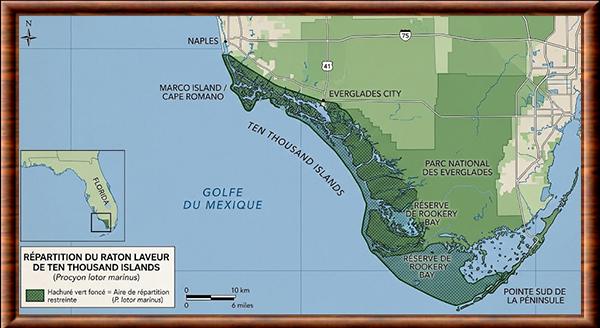 Procyon lotor marinus distribution