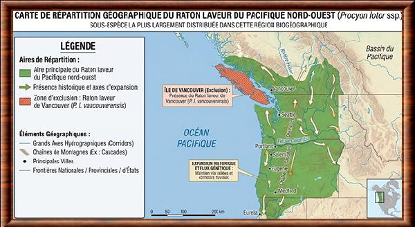 Procyon lotor pacificus distribution