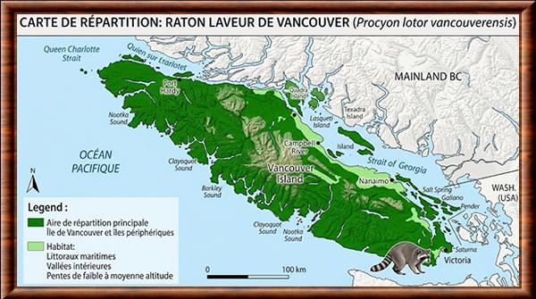 Procyon lotor vancouverensis distribution