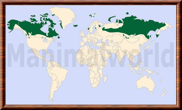 Rangifer tarandus carte de repartition