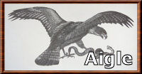 aigle