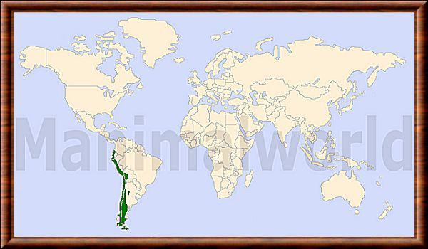 Renard de magellan repartition