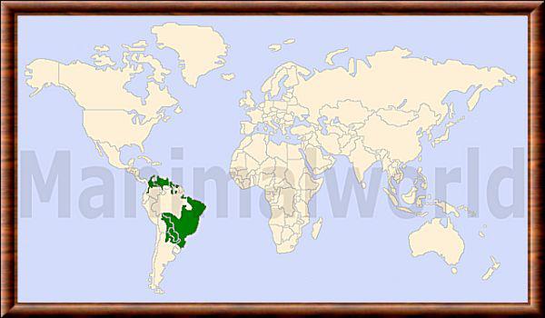 Renard des savanes repartition