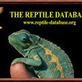 Reptiledatabase 1