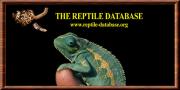Reptiledatabase 1