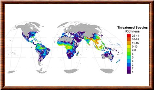 Reptiles danger extinction