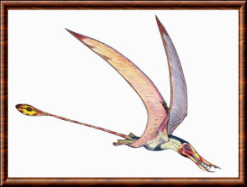 Rhamphorhynchus