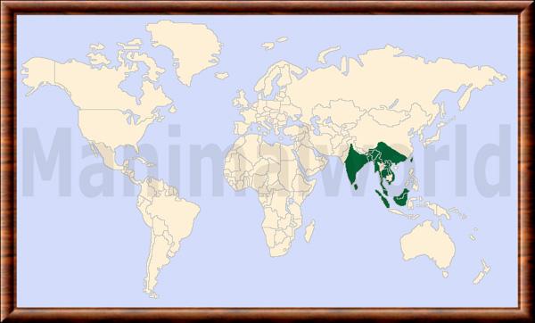 Rusa unicolor carte de repartition