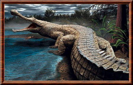 Sarcosuchus imperator