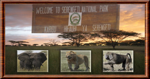 Parc national du Serengeti