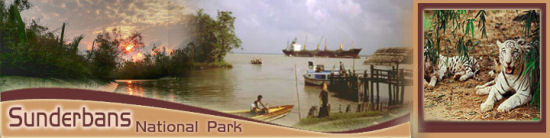 Sundarbans