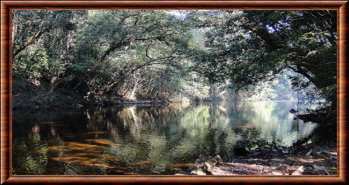 Sungai Tahan du Taman Negara