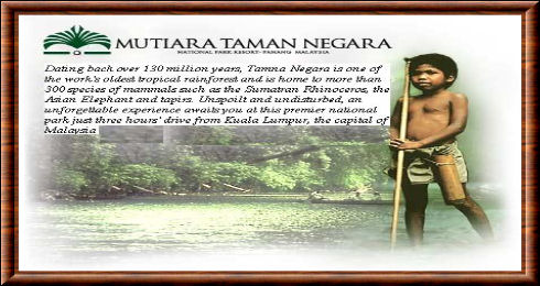 Taman Negara 02