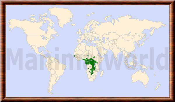 Carte de répartition du sitatunga Tragelaphus spekii distribution