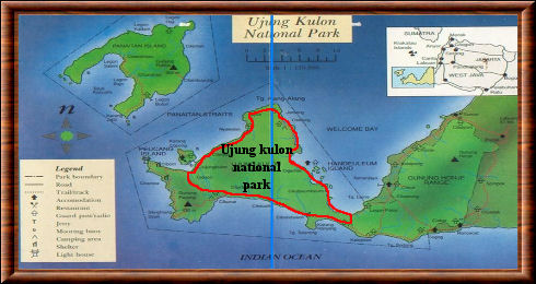 Ujung Kulon carte