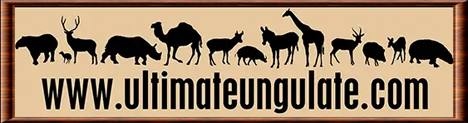 Ultimate Ungulate