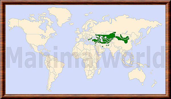 Vormela peregusna distribution