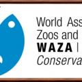 Waza