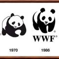 Wwf