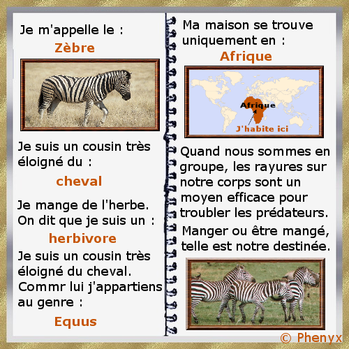 Zebre fiche pour enfants